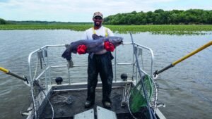 Read more about the article New Bill Turns Chesapeake Bay’s Blue Catfish into Pet Food