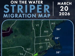 Read more about the article Striper Migration Map – March 20, 2026