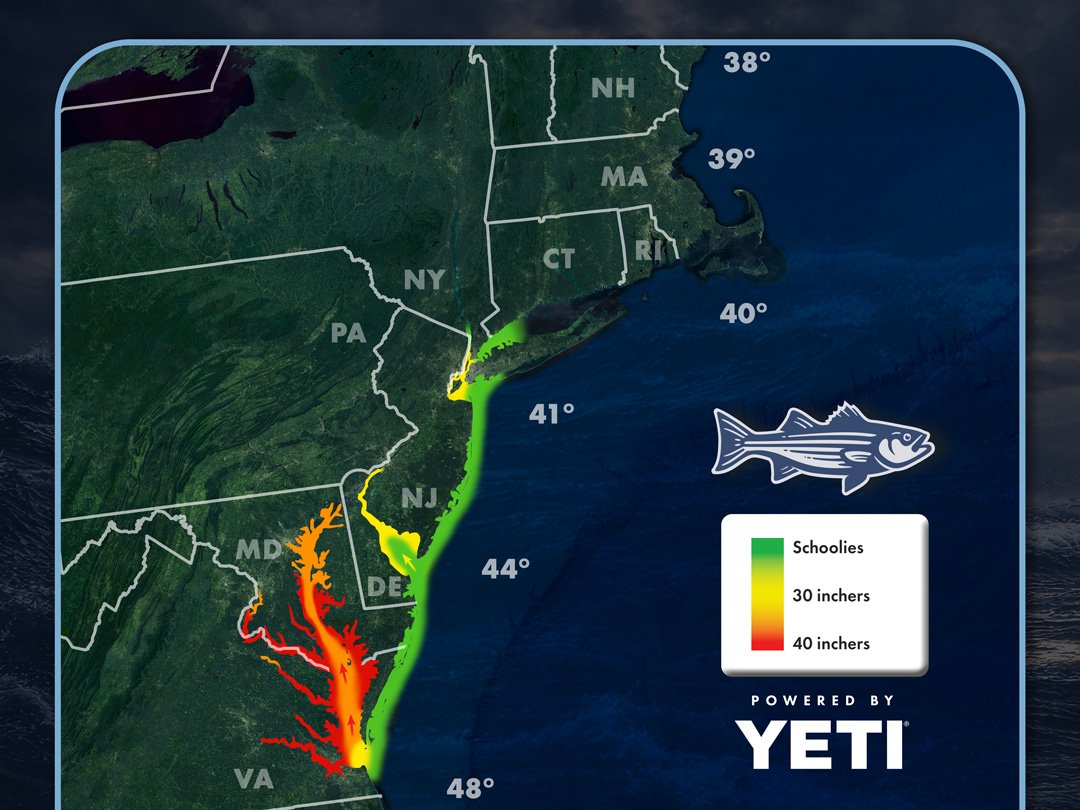 You are currently viewing Striper Migration Map – March 27, 2026