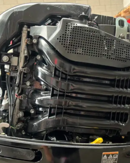 DF-200 A SUZUKI 4 STROKE