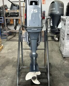 E-75 Yamaha 2 Stroke