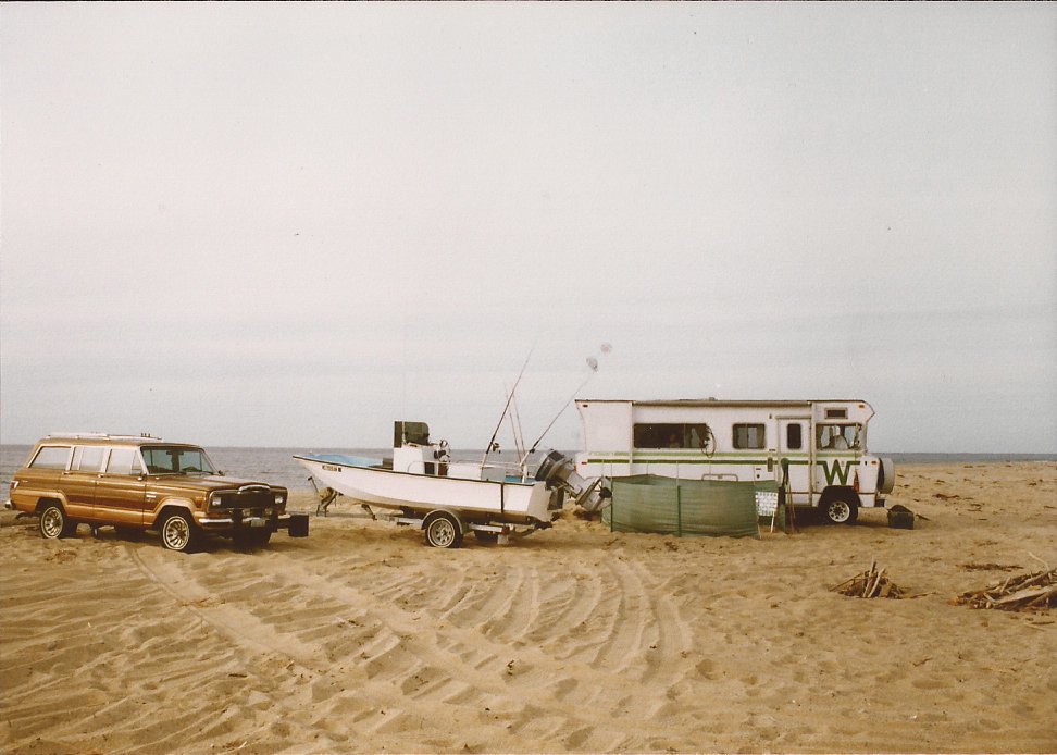 Read more about the article Opinion: Cape Cod Has Done Its Part on Piping Plover Recovery
