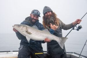Read more about the article Narragansett Bay’s Spring Striper Run
