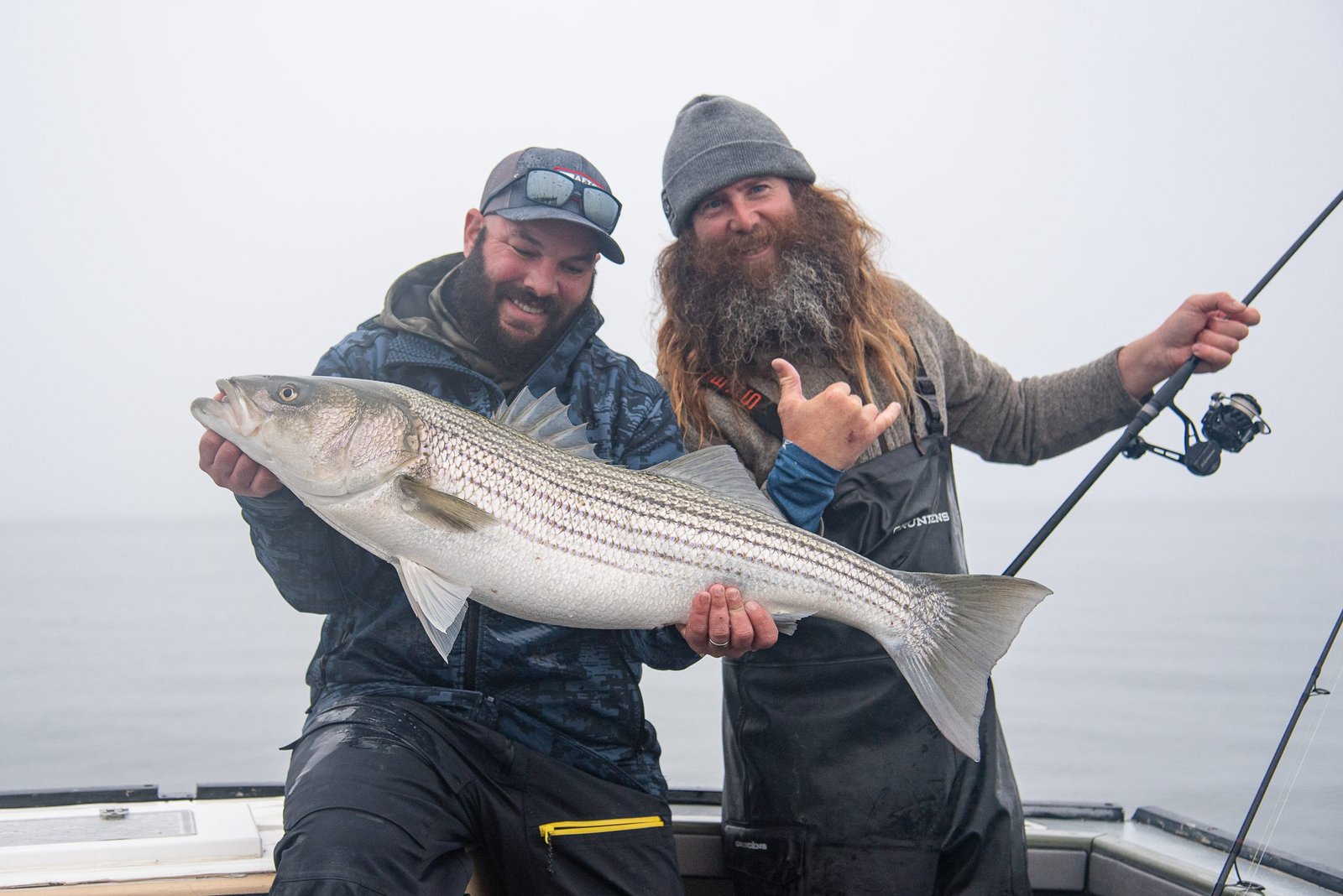 Read more about the article Narragansett Bay’s Spring Striper Run