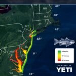 Striper Migration Map – April 10, 2026