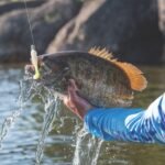 Angling Artist: Garrick Dixon – On The Water