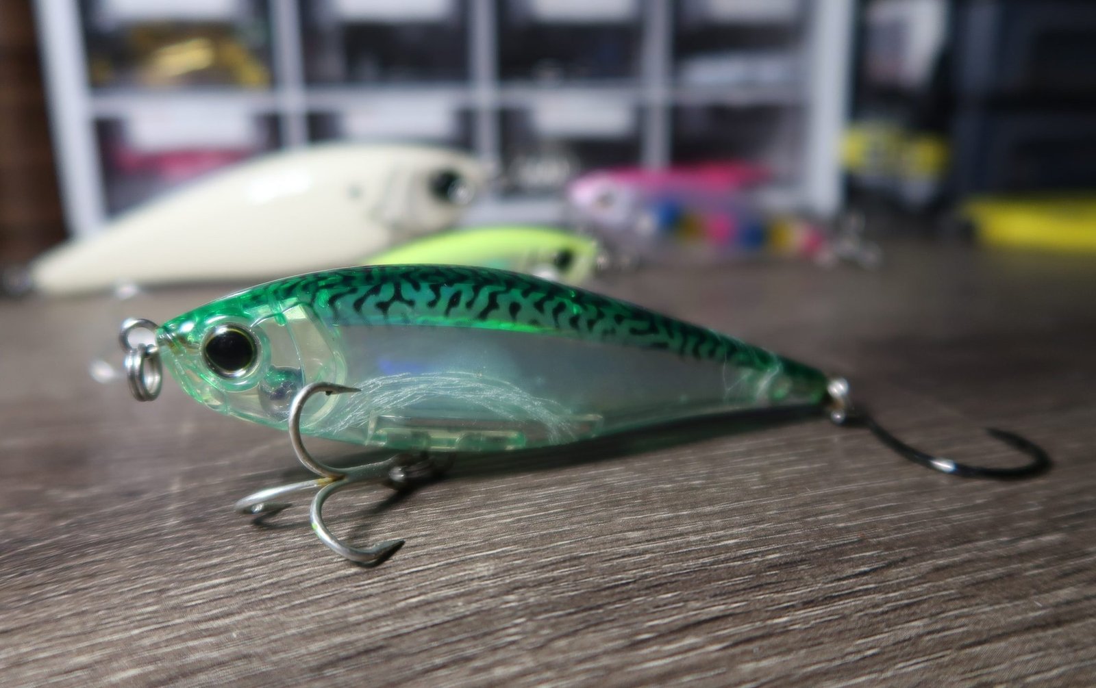 Read more about the article How to Fish Twitchbaits for Striped Bass