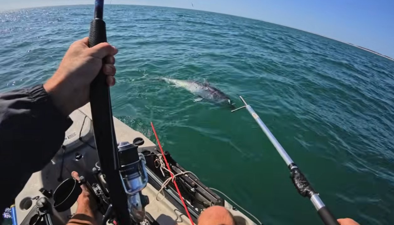 Read more about the article Video: Kayak Anglers Lands Bluefin Tuna
