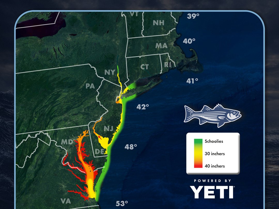 Read more about the article Striper Migration Map – April 3, 2026