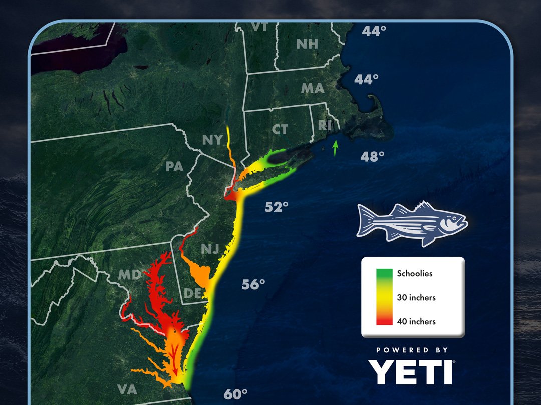 Read more about the article Striper Migration Map – April 17, 2026