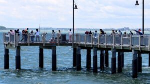 Read more about the article Massachusetts Budget Proposal Could Divert Fishing License Funds