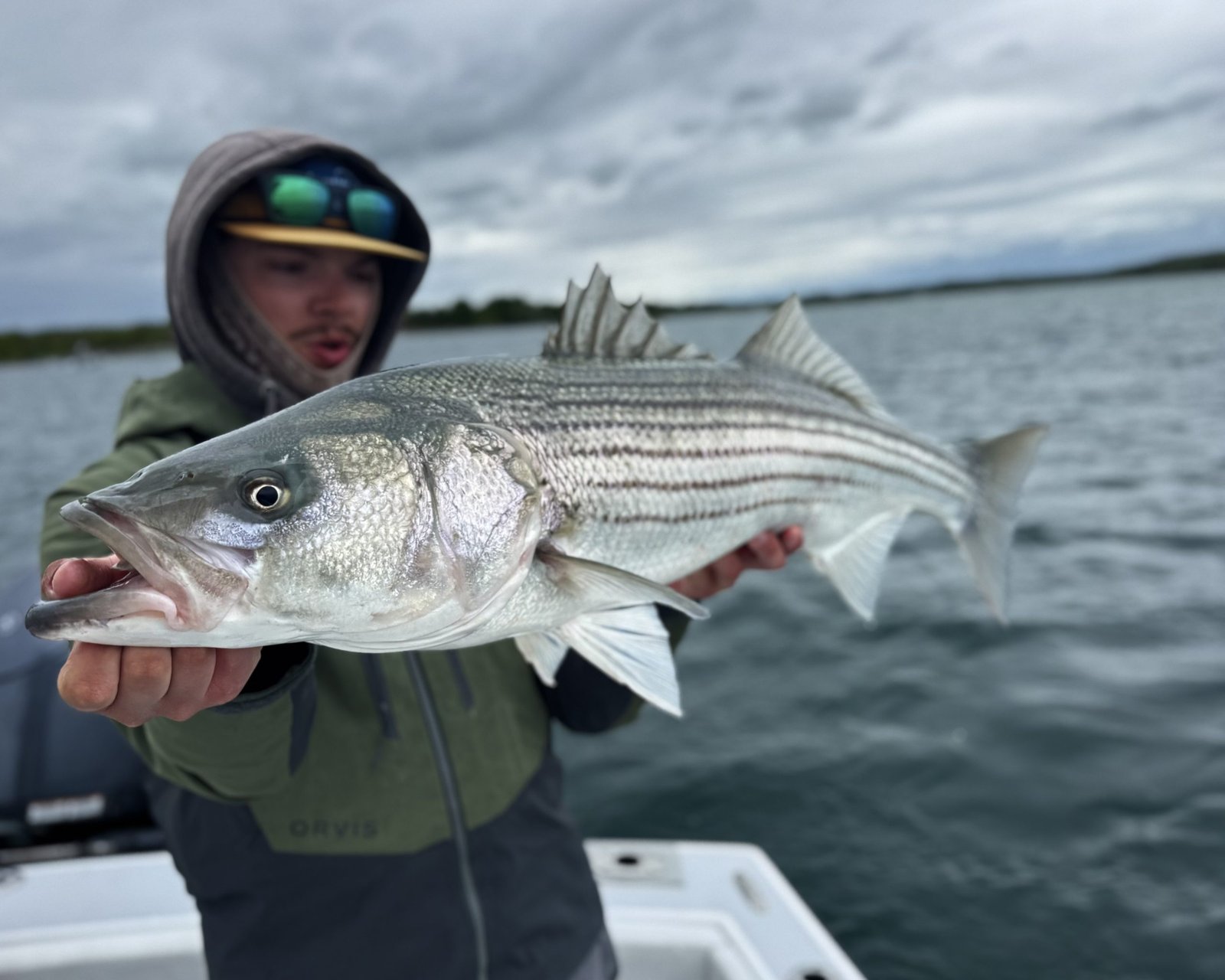 You are currently viewing Buzzards Bay’s Spring Striper Run