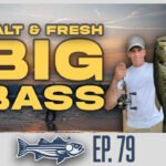 Outer Cape Stripers to Small Pond Largemouths with Mike Luccini | OTW Podcast Ep. 79