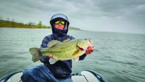 Read more about the article From Environmental Disaster to Trophy Bass Fishery