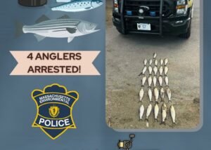 Read more about the article Four Anglers Arrested for Illegal Fishing on Merrimack River