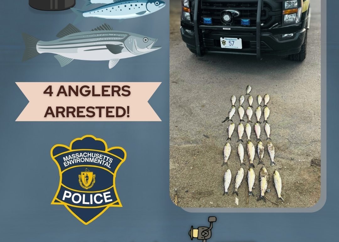 Read more about the article Four Anglers Arrested for Illegal Fishing on Merrimack River