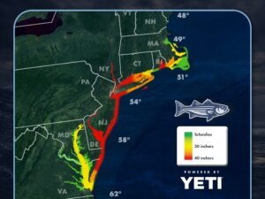 Read more about the article Striper Migration Map – May 8, 2026