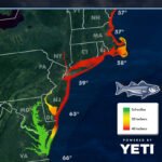 Striper Migration Map – May 29, 2026