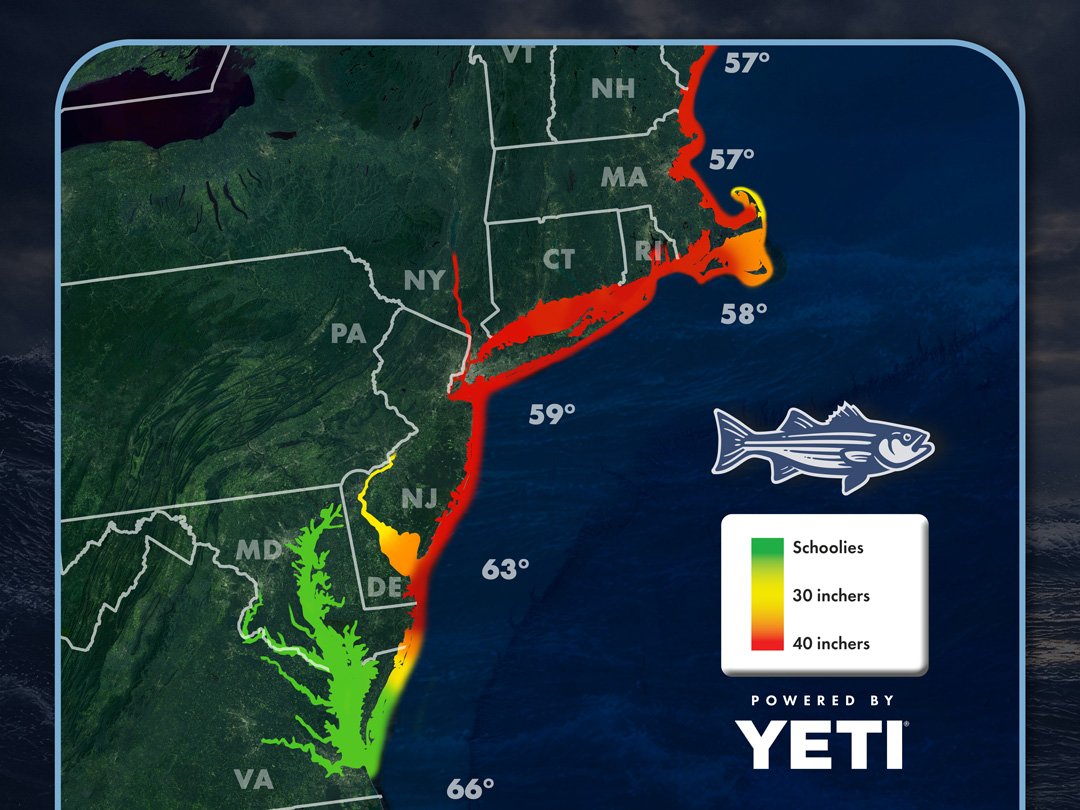 Read more about the article Striper Migration Map – May 29, 2026