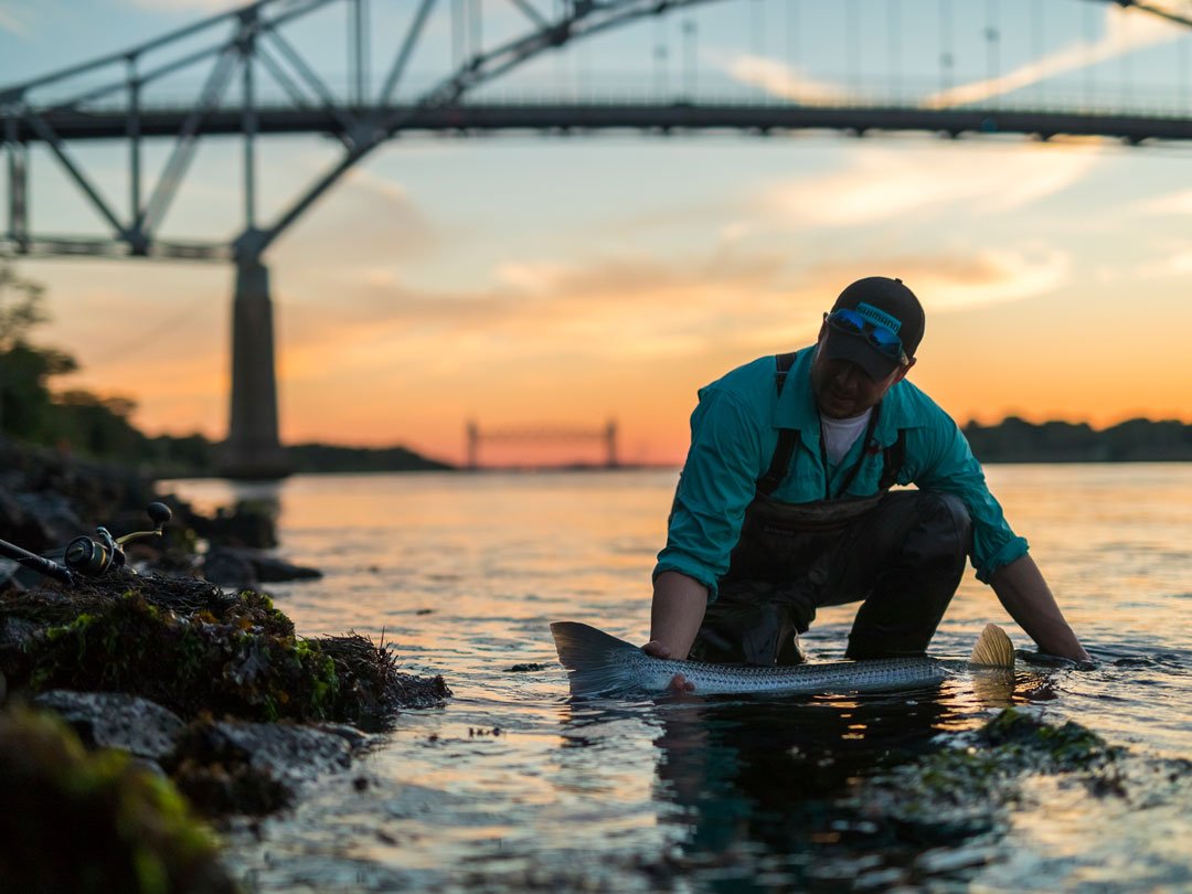Read more about the article 2026 Cape Cod Canal Fishing Cheat Sheet