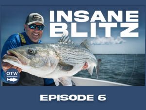 Read more about the article OTW Angling Adventures This Weekend: Backyard Bass – Meeting The Striper Migration