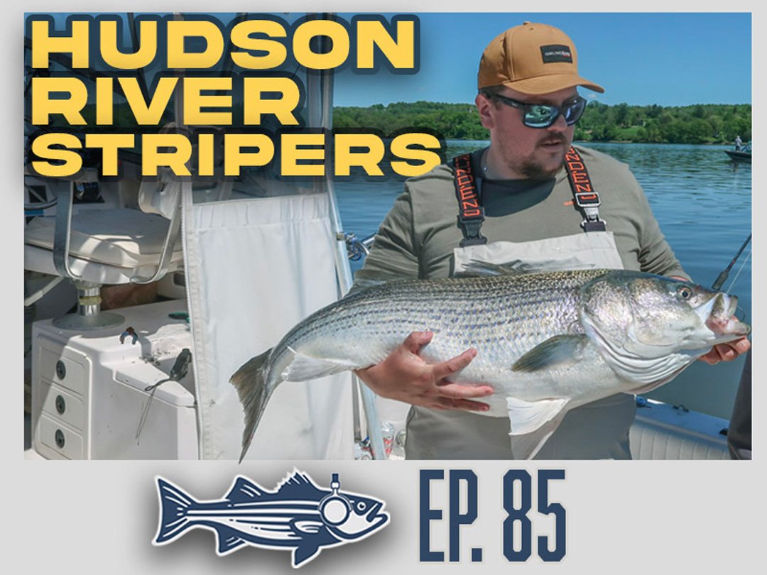 Read more about the article Hudson River Stripers and Cape Cod Squid | OTW Podcast Ep. 85